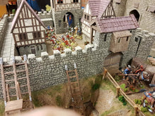 Load image into Gallery viewer, Medieval Times