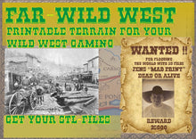 Load image into Gallery viewer, American Wild West