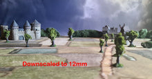 Load image into Gallery viewer, Medieval / Fantasy Campaign 2025
