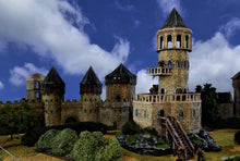 Load image into Gallery viewer, Medieval / Fantasy Campaign 2025
