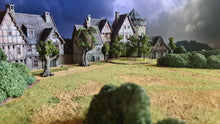 Load image into Gallery viewer, Medieval / Fantasy Campaign 2025
