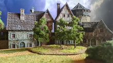 Load image into Gallery viewer, Medieval / Fantasy Campaign 2025

