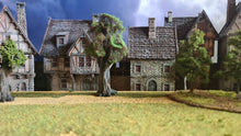 Load image into Gallery viewer, Medieval / Fantasy Campaign 2025
