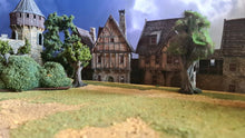 Load image into Gallery viewer, Medieval / Fantasy Campaign 2025
