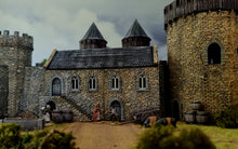 Load image into Gallery viewer, Medieval / Fantasy Campaign 2025
