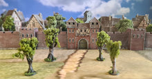 Load image into Gallery viewer, Medieval / Fantasy Campaign 2025
