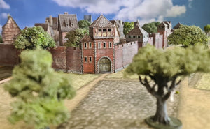 Medieval / Fantasy Campaign 2025