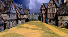 Load image into Gallery viewer, Medieval / Fantasy Campaign 2025
