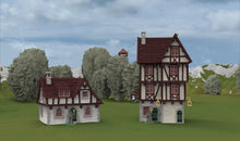 Load image into Gallery viewer, Medieval / Fantasy Campaign 2025
