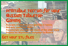 Load image into Gallery viewer, The World at War Russia
